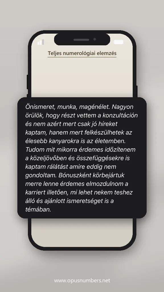 Ügyfélvélemény a numerológiai elemzésről (üzenet képernyőképe) – 27. / 38